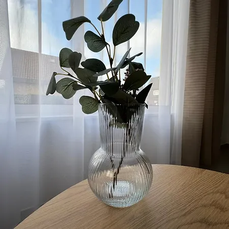 Rheiner Wohlfühlsuite Mit Garten